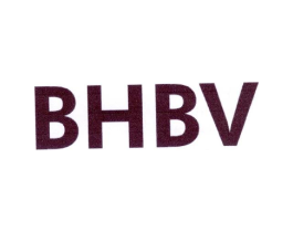 BHBV商标原图 第25类服装鞋帽