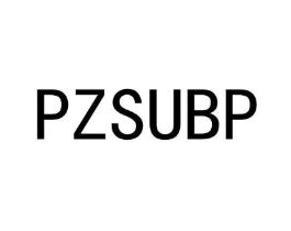 PZSUBP商标原图 第25类服装鞋帽