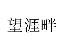 望涯畔商标原图 第25类服装鞋帽
