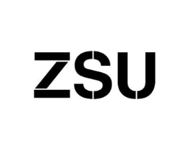 ZSU商标原图 第25类服装鞋帽