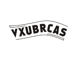 VXUBRCAS商标原图 第25类服装鞋帽