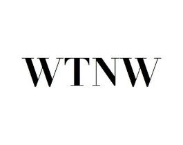 WTNW商标原图 第25类服装鞋帽