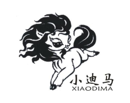 小迪马商标原图 第25类服装鞋帽