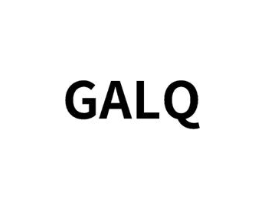 GALQ商标原图 第25类服装鞋帽