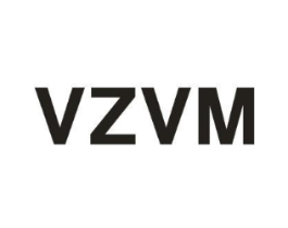 VZVM商标原图 第25类服装鞋帽