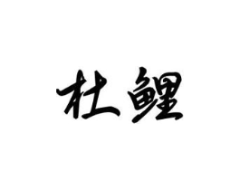 杜鲤商标原图 第25类服装鞋帽