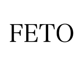 FETO商标原图 第25类服装鞋帽