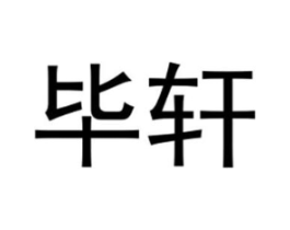 毕轩商标原图 第25类服装鞋帽