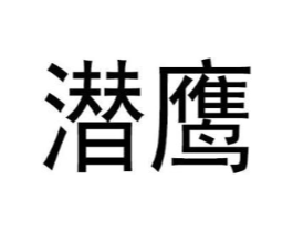 潜鹰商标原图 第25类服装鞋帽