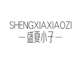 盛夏小子商标原图 第25类服装鞋帽