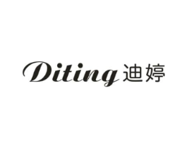 迪婷商标原图 第25类服装鞋帽