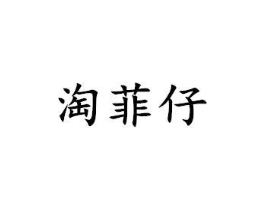 淘菲仔商标原图 第25类服装鞋帽