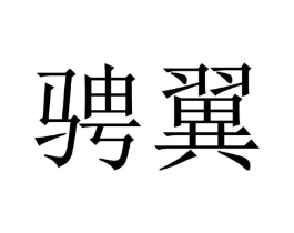 骋翼商标原图 第25类服装鞋帽