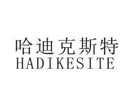 哈迪克斯特商标原图 第25类服装鞋帽