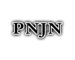 PNJN商标原图 第25类服装鞋帽