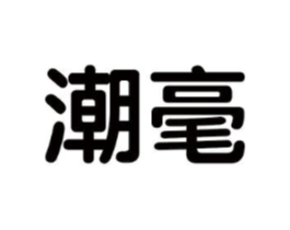 潮毫商标原图 第25类服装鞋帽