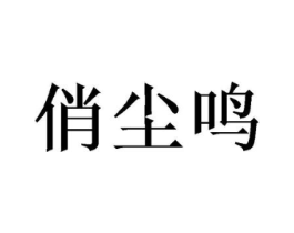 俏尘鸣商标原图 第25类服装鞋帽