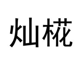 灿商标原图 第25类服装鞋帽