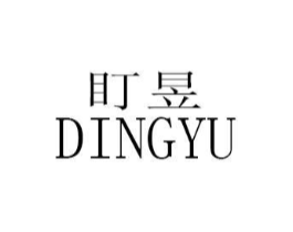盯昱商标原图 第25类服装鞋帽