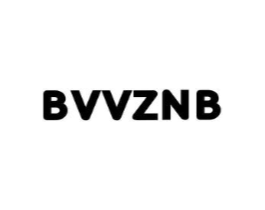 BVVZNB商标原图 第25类服装鞋帽