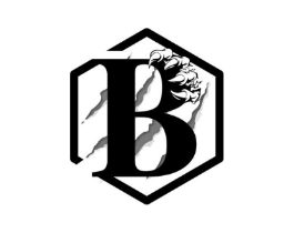 B商标原图 第25类服装鞋帽