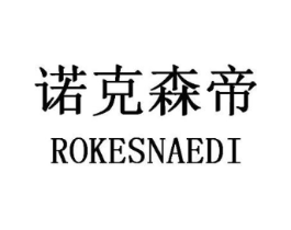 诺克森帝 ROKESNAEDI商标原图 第25类服装鞋帽