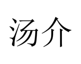汤介商标原图 第25类服装鞋帽