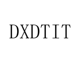 DXDTIT商标原图 第25类服装鞋帽