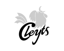 CLEYTS商标原图 第25类服装鞋帽