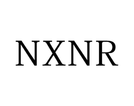 NXNR商标原图 第25类服装鞋帽
