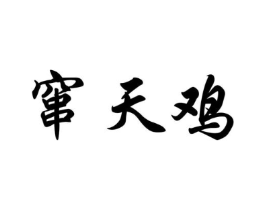 窜天鸡商标原图 第25类服装鞋帽