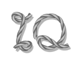 IQ商标原图 第25类服装鞋帽