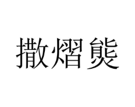 撒熠熋商标原图 第25类服装鞋帽
