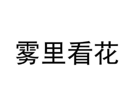 雾里看花商标原图 第25类服装鞋帽