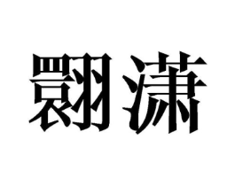 翾潇商标原图 第25类服装鞋帽