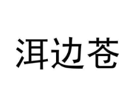 洱边苍商标原图 第25类服装鞋帽