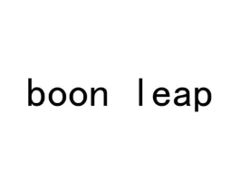 BOON LEAP商标原图 第25类服装鞋帽