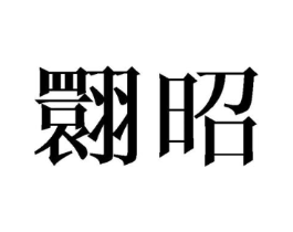 翾昭商标原图 第25类服装鞋帽