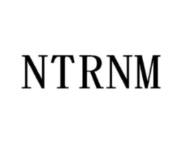 NTRNM商标原图 第25类服装鞋帽