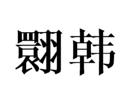 翾韩商标原图 第25类服装鞋帽