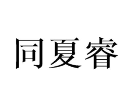 同夏睿商标原图 第25类服装鞋帽