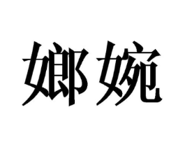 商标原图