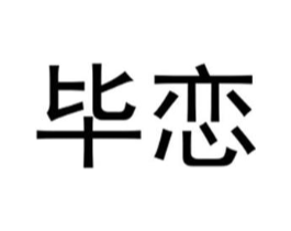 毕恋商标原图 第25类服装鞋帽