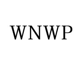WNWP商标原图 第25类服装鞋帽