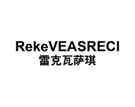 雷克瓦萨琪 REKEVEASRECI商标原图 第25类服装鞋帽