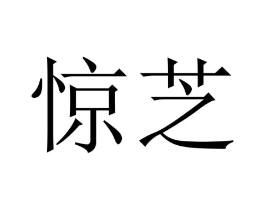 惊芝商标原图 第25类服装鞋帽