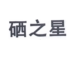 硒之星商标原图 第25类服装鞋帽