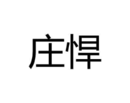 庄悍商标原图 第25类服装鞋帽