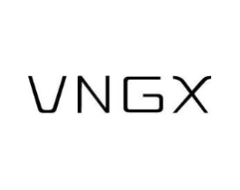 VNGX商标原图 第25类服装鞋帽