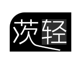 茨轻商标原图 第25类服装鞋帽